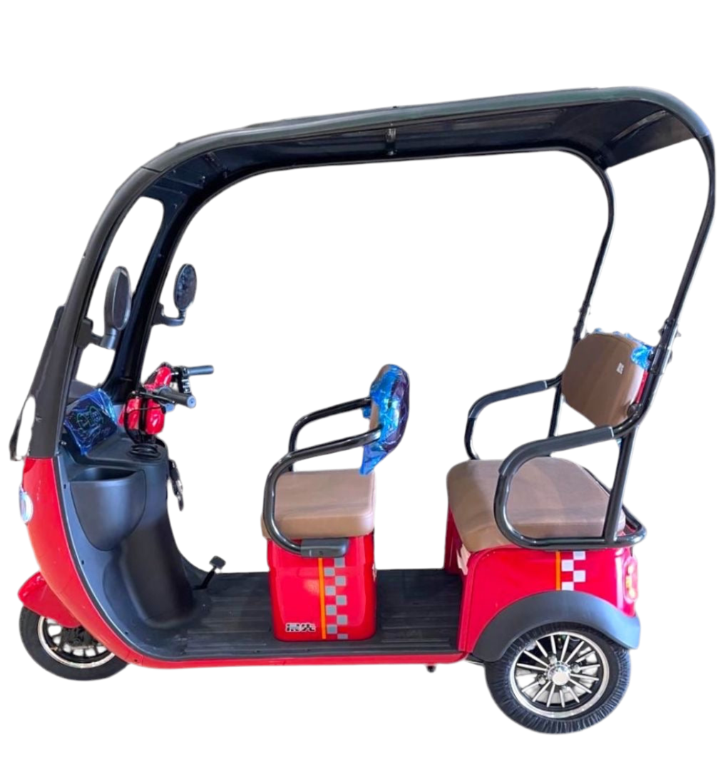 Tricycle With Roof