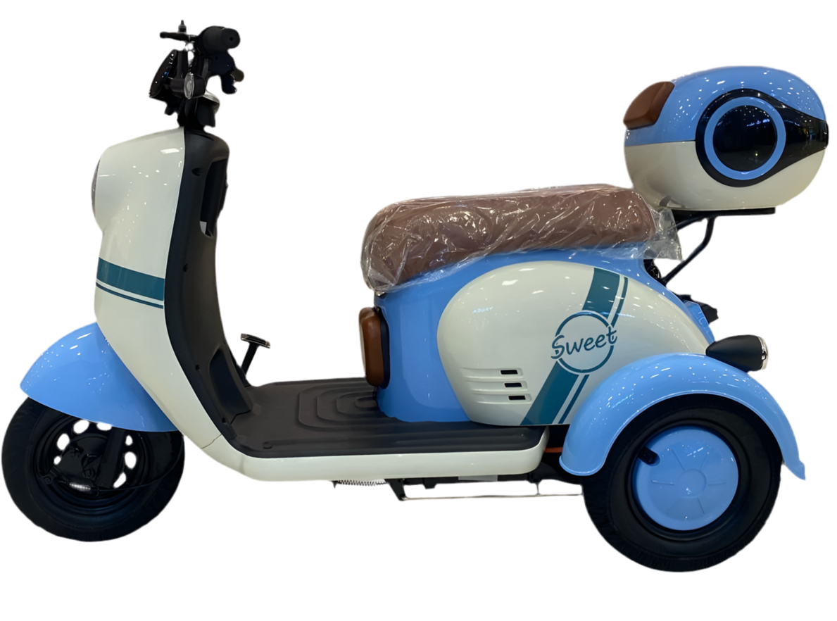 X3A Electric Tricycle – Family-Friendly Mobility with Convenience