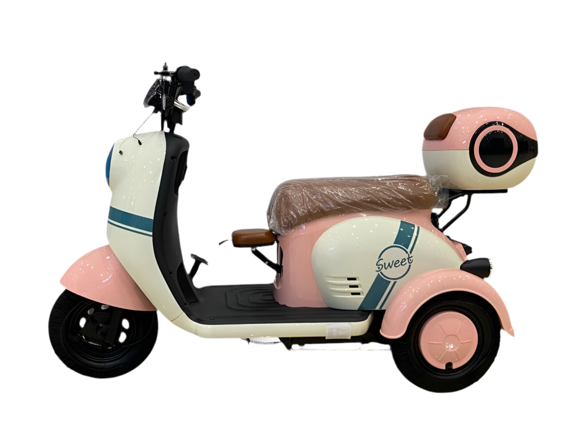X3A Electric Tricycle – Family-Friendly Mobility with Convenience