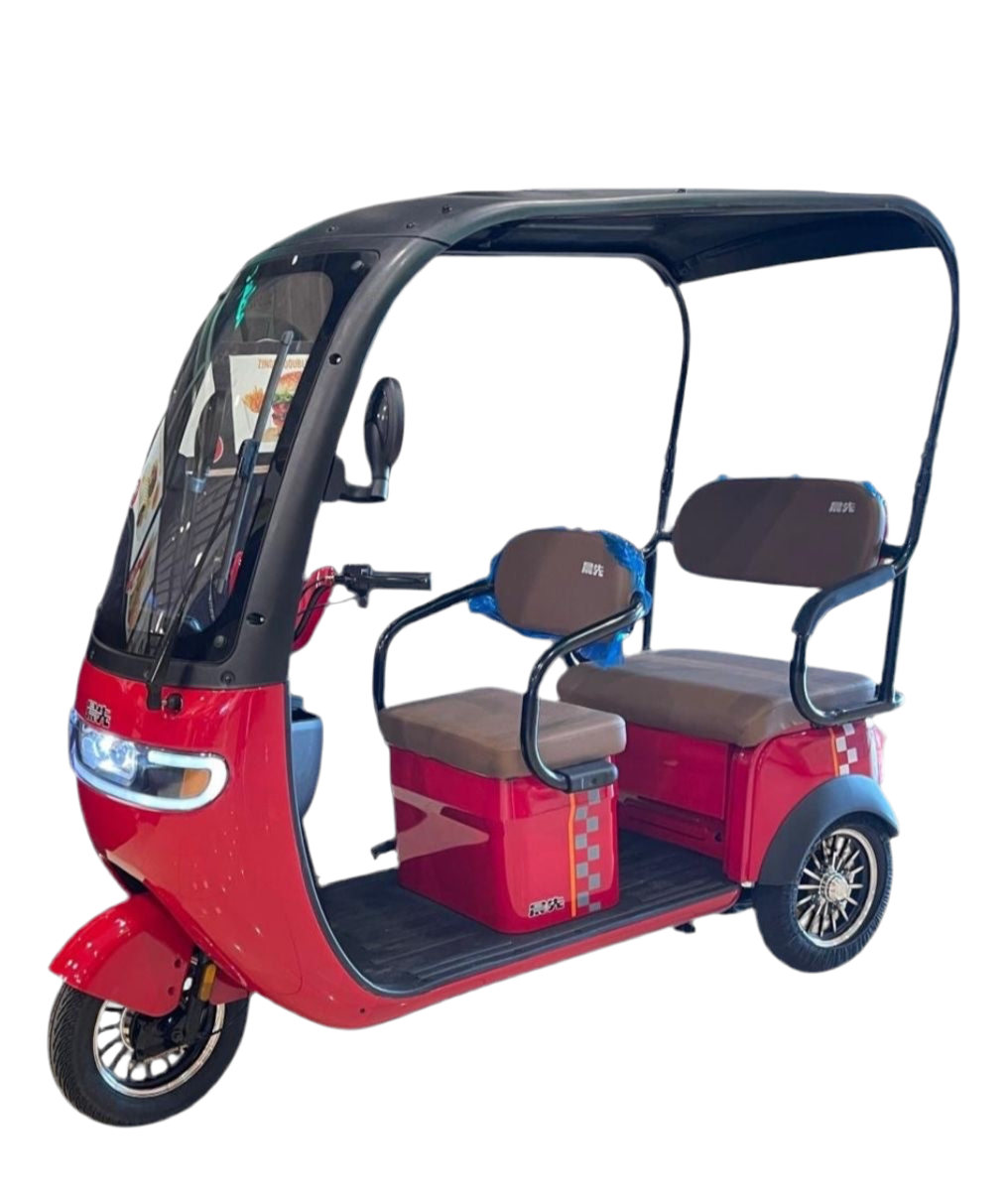 Tricycle With Roof