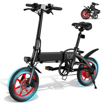 WIND HORSE C19 Folding Electric Bike