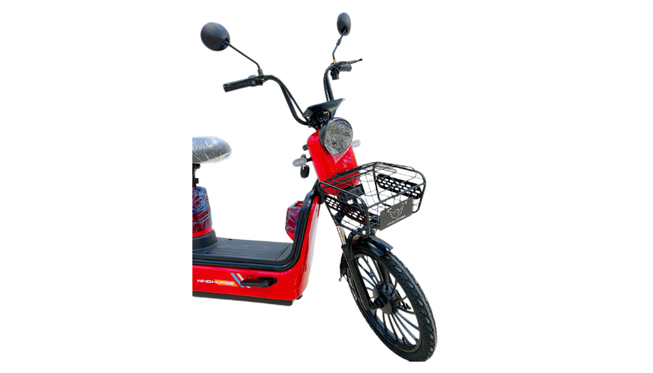 M3 Electric Bike – Two-Seater Power and Comfort