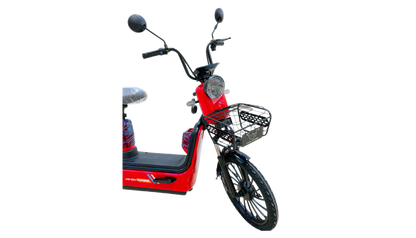 M3 Electric Bike – Two-Seater Power and Comfort