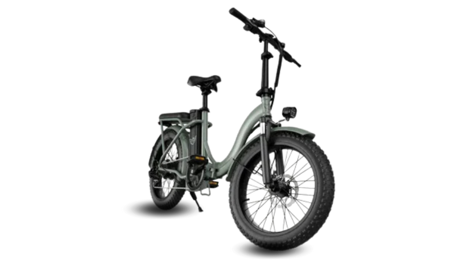 WIND HORSE W2 B Electric Bike