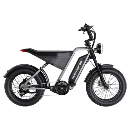 D3 Electric Bike Shimano Gear 7 Speed