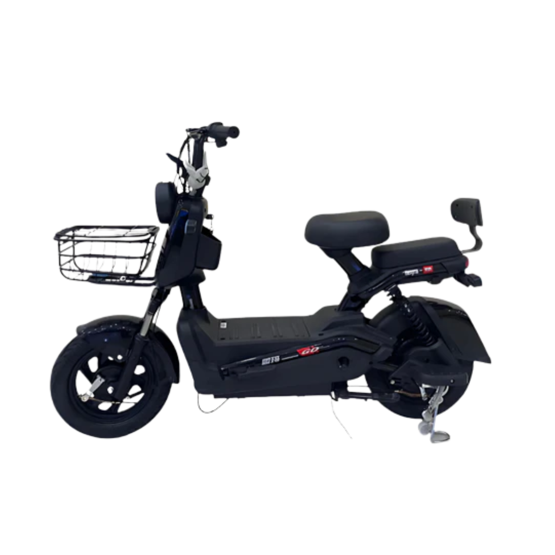 CXN70 Electric Bike – Two Versatile Variants for Every Ride