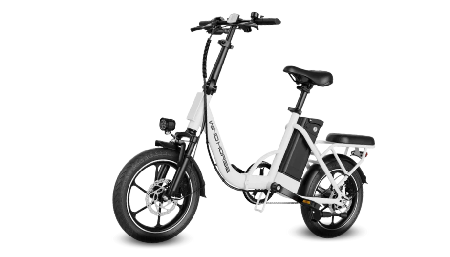 WIND HORSE W2 B Electric Bike