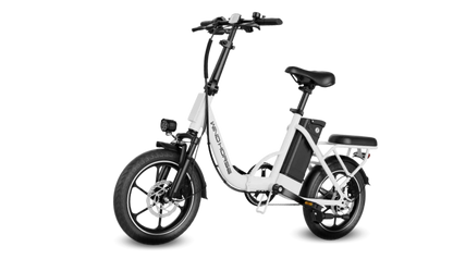 WIND HORSE W2 B Electric Bike