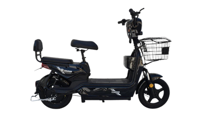 W3 Electric Bike – Two-Seater Powerhouse for Versatile Riding