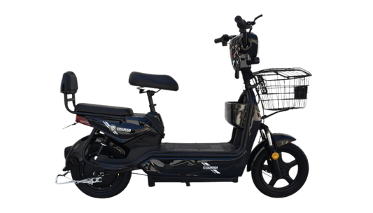 W3 Electric Bike – Two-Seater Powerhouse for Versatile Riding