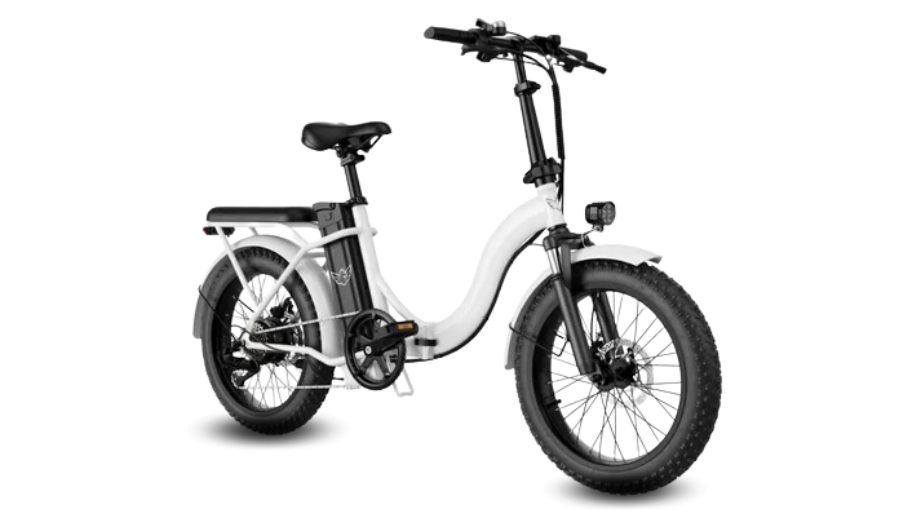 WIND HORSE W2 B Electric Bike