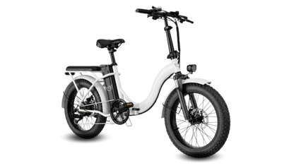 WIND HORSE W2 B Electric Bike