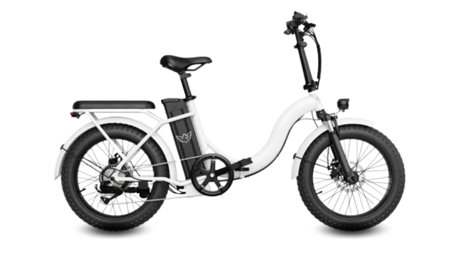 WIND HORSE W2 B Electric Bike