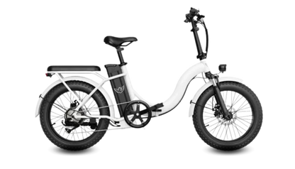 WIND HORSE W2 B Electric Bike