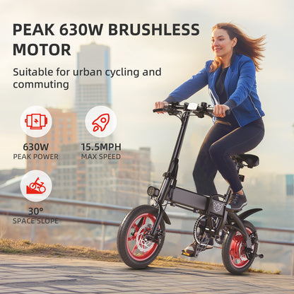 WIND HORSE C19 Folding Electric Bike