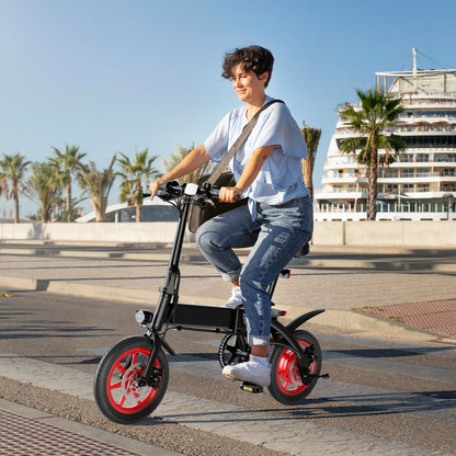 WIND HORSE C19 Folding Electric Bike