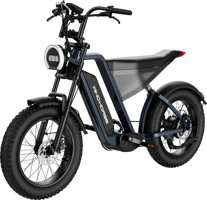 D3 Electric Bike Shimano Gear 7 Speed