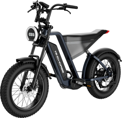 D3 Electric Bike Shimano Gear 7 Speed