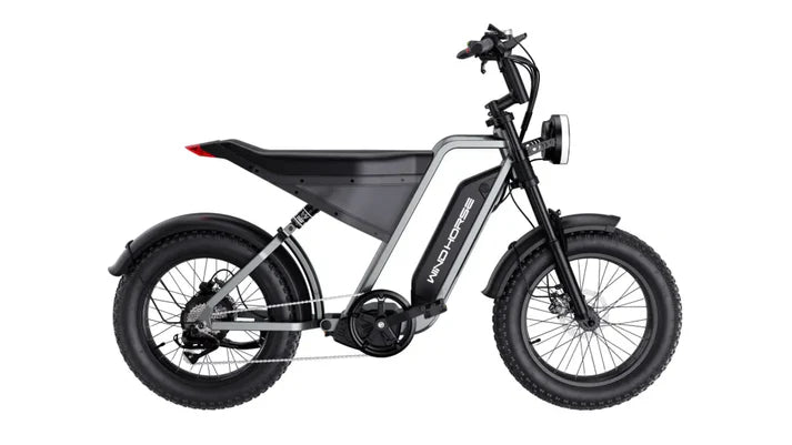 D3 Electric Bike Shimano Gear 7 Speed