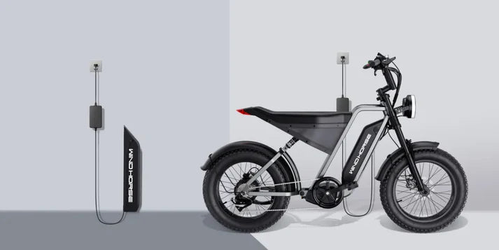 D3 Electric Bike Shimano Gear 7 Speed