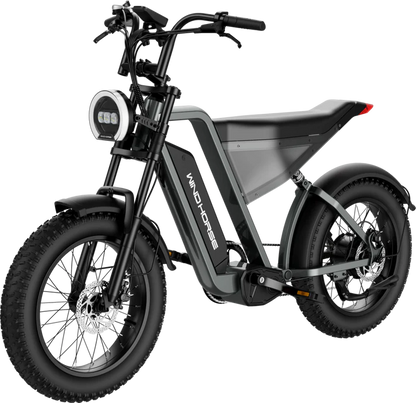 D3 Electric Bike Shimano Gear 7 Speed