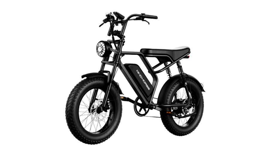 Wind Horse V8 Electric Bike