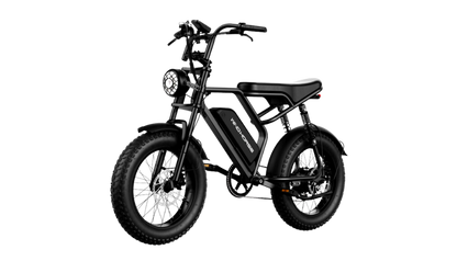 Wind Horse V8 Pro Electric Bike