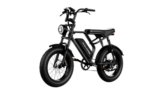 Wind Horse V8 Electric Bike