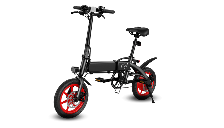 WIND HORSE C19 Folding Electric Bike