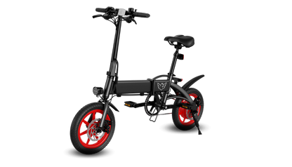 WIND HORSE C19 Folding Electric Bike