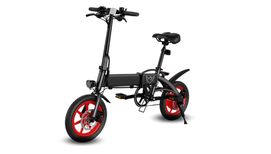 WIND HORSE C19 Folding Electric Bike