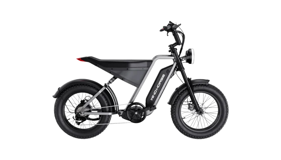 D3 Electric Bike Shimano Gear 7 Speed