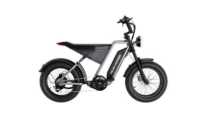 D3 Electric Bike Shimano Gear 7 Speed