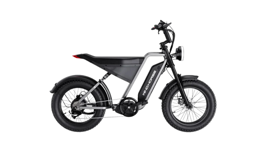 D3 Electric Bike Shimano Gear 7 Speed