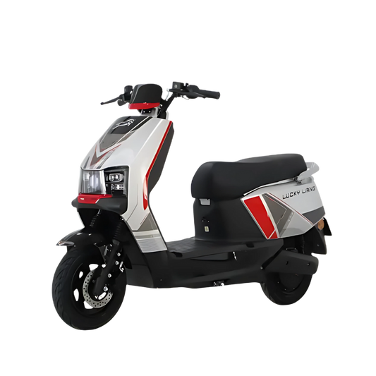 E-Bike J1