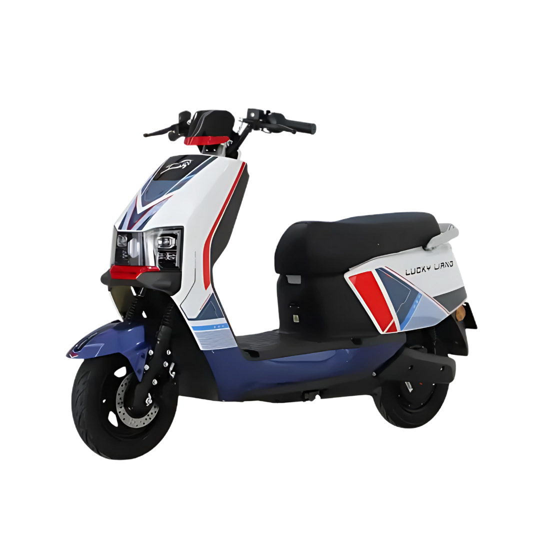 E-Bike J1